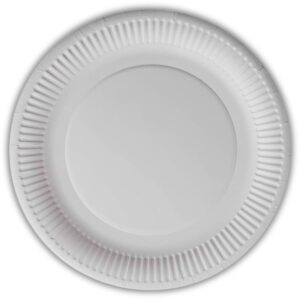 100 Small 7inch Paper Plates