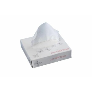 72 x 65 PG Luxi 2 Ply Flat Pack Toilet Paper